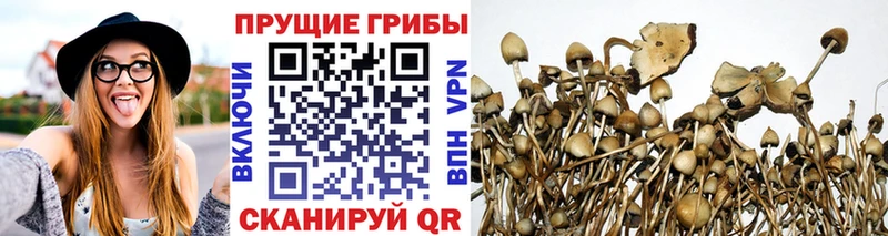 Псилоцибиновые грибы Magic Shrooms  МЕГА рабочий сайт  Лысьва 